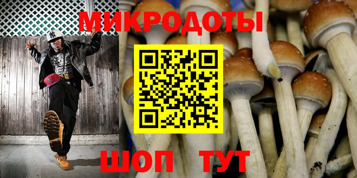 Топки  Псилоцибиновые грибы Cubensis  Вход с VPN 